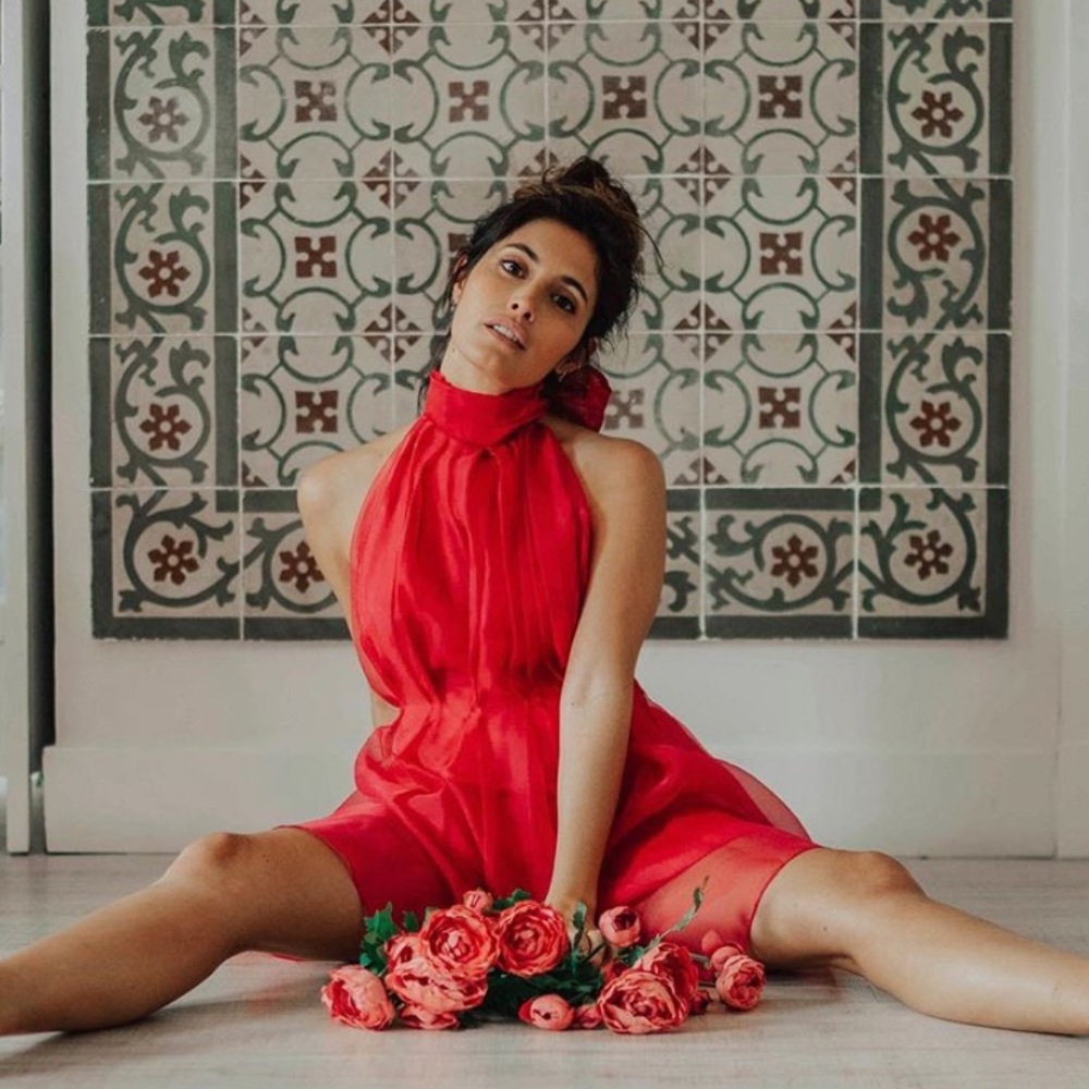 LAST 1 ZARA NWT Limited Edition Mini Organza Dress - Picture 3 of 8